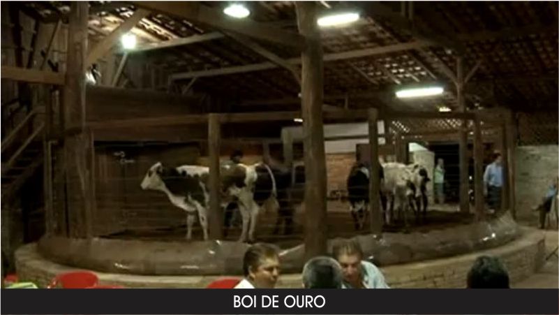 Logo de BOI DE OURO LEILÕES