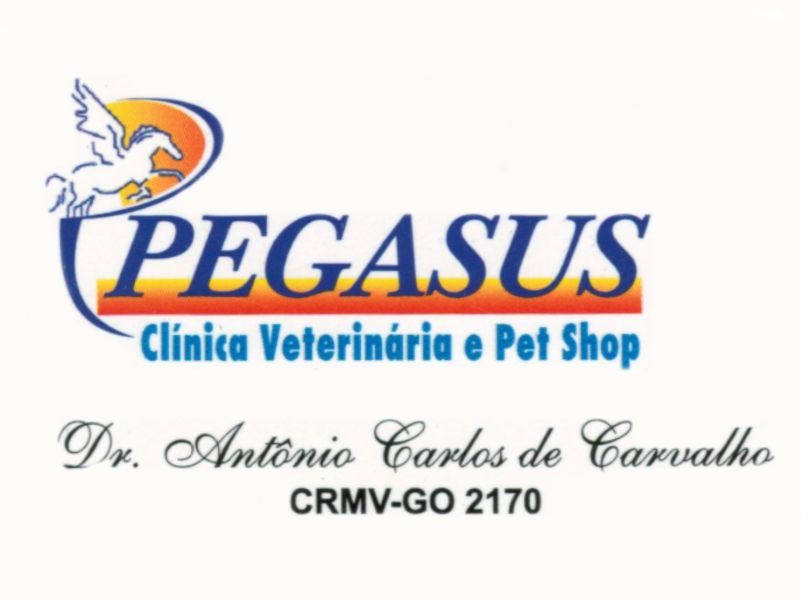 Logo de PEGASUS