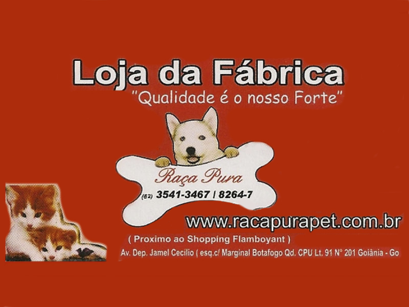Logo de RAÇA PURA PET SHOP