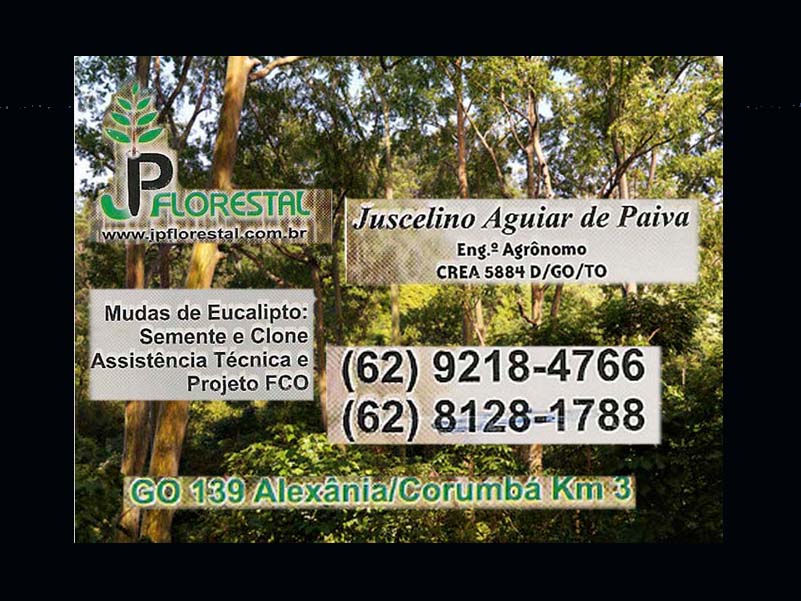 Logo de JP FLORESTAL