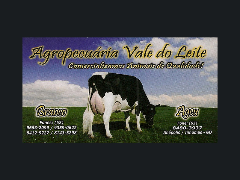 Logo de AGROPECUÁRIA VALE DO LEITE