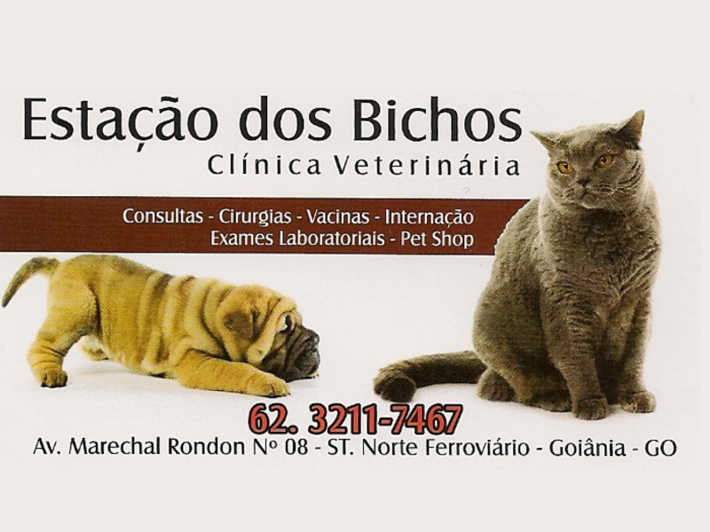 Logo de ESTAÇÃO DOS BICHOS