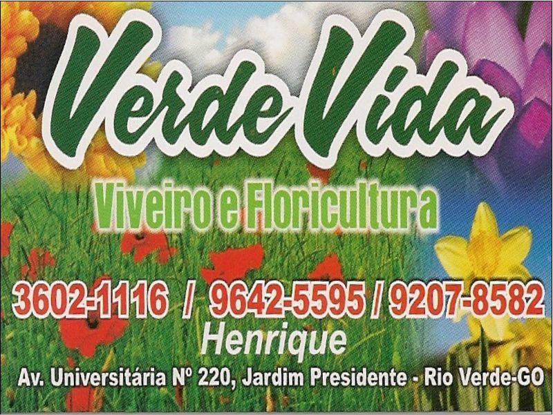 Logo de VERDE VIDA VIVEIRO E FLORICULTURA