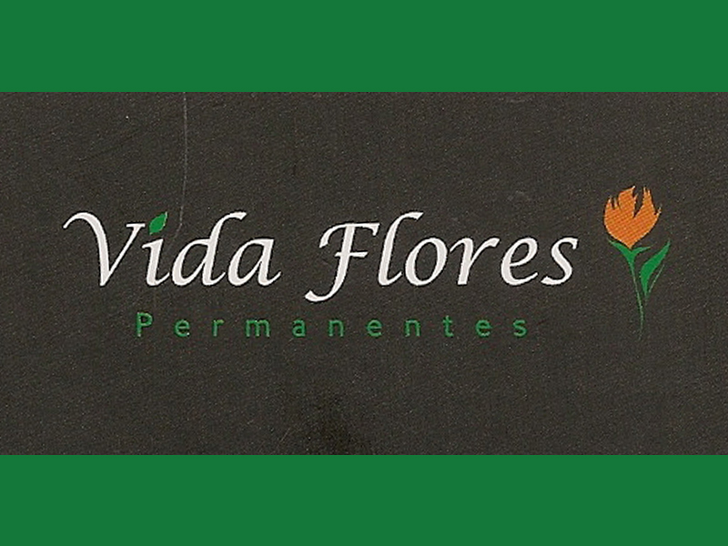 Logo de VIDA FLORES PERMANENTES