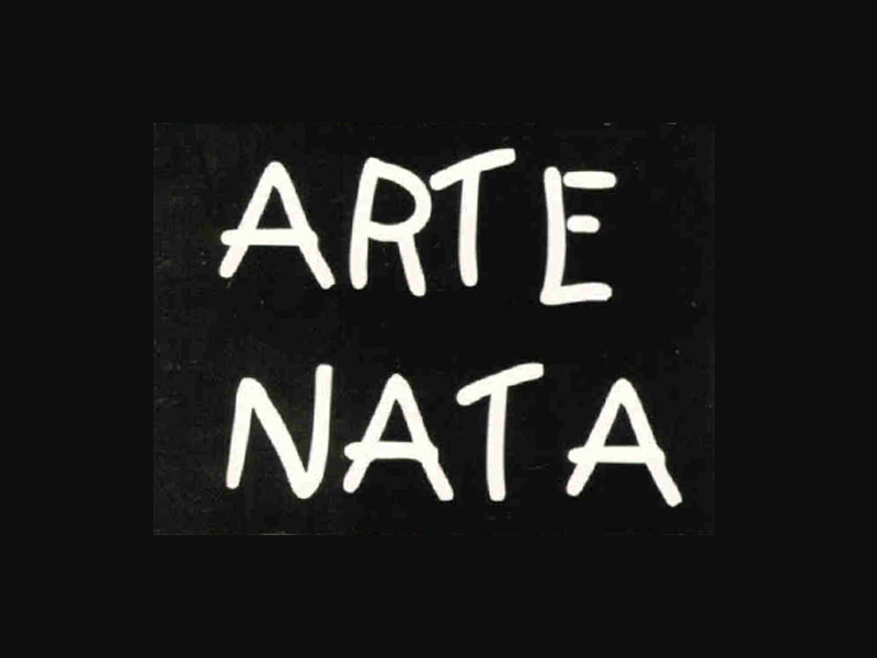 Logo de ARTE NATA CAIXAS E GAVETEIROS