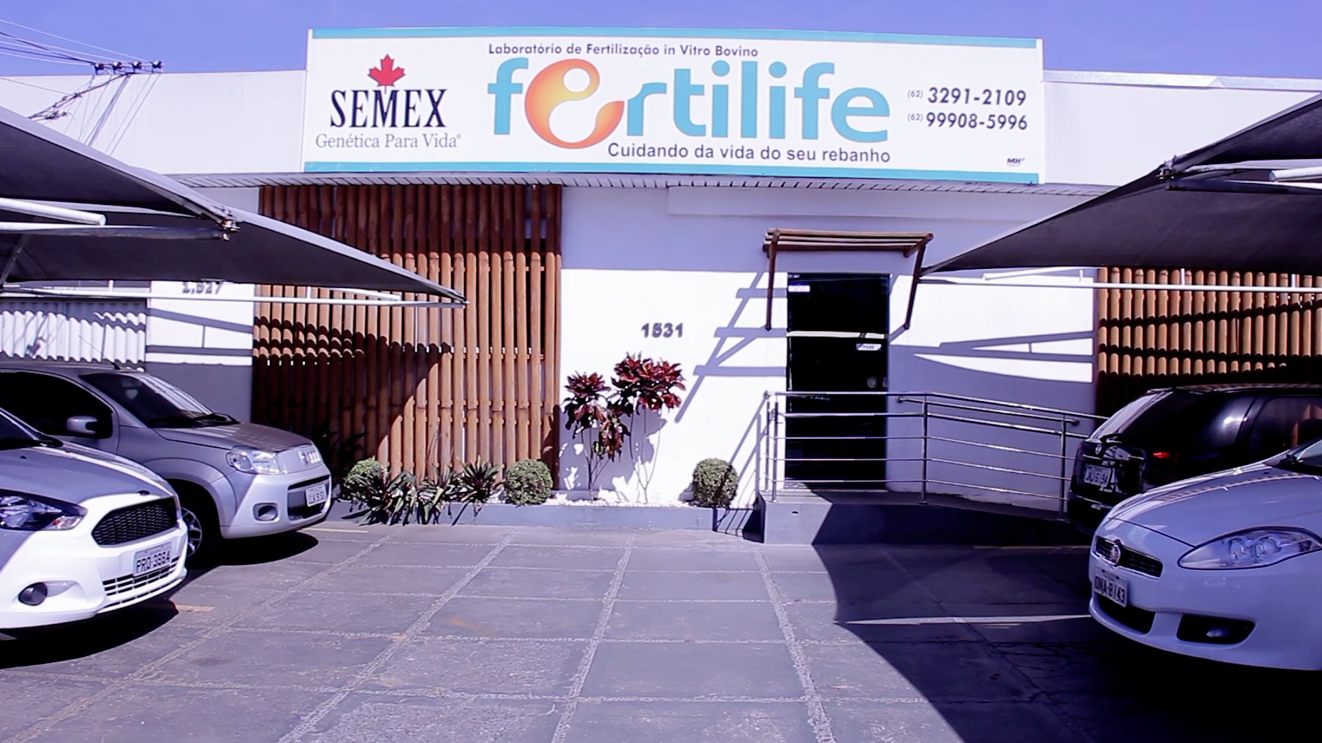 Logo de FERTILIFE